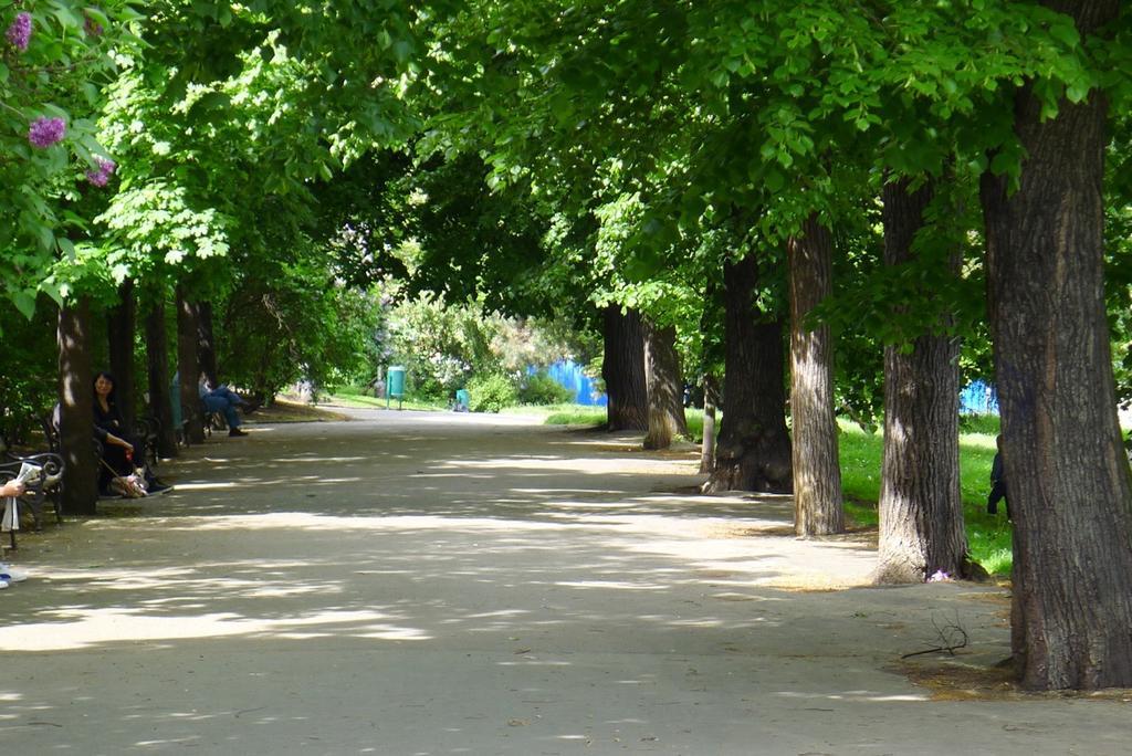 Condo Vinohrady II Prag Dış mekan fotoğraf